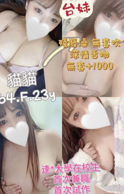 台北定點茶貓貓