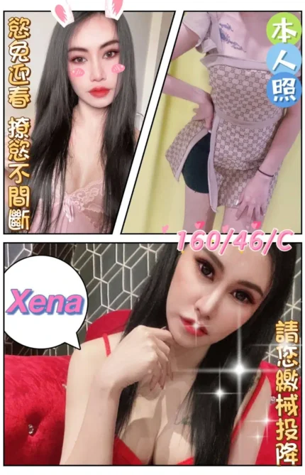 嘉義定點茶Xena