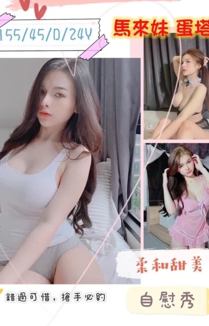 嘉義定點茶蛋塔
