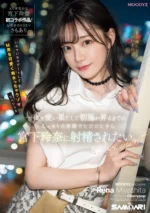 宮下玲奈av2
