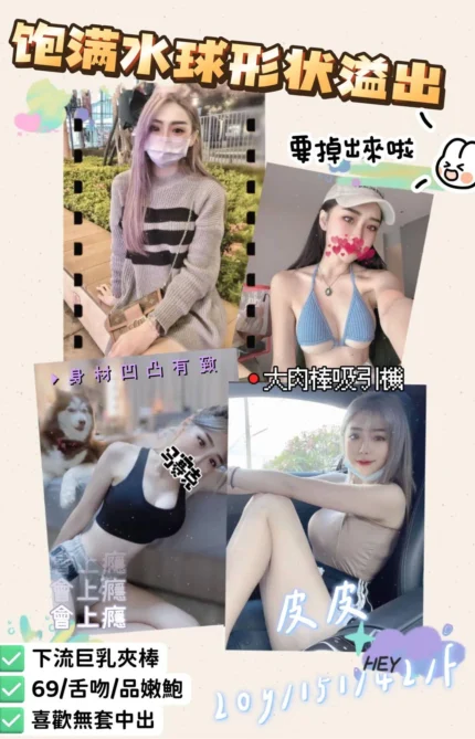 桃園定點茶皮皮