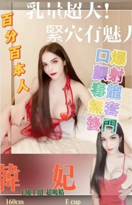 新北定點茶-韓妃