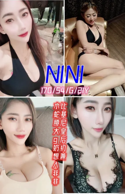新北定點茶NINI