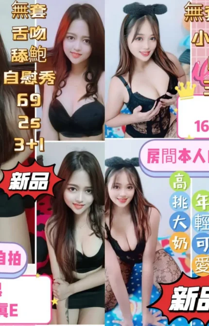 台中定點茶-貓女狼