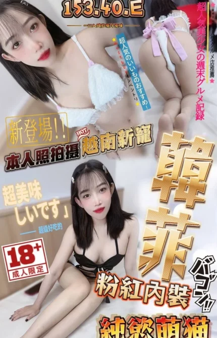 台中定點茶-韓菲