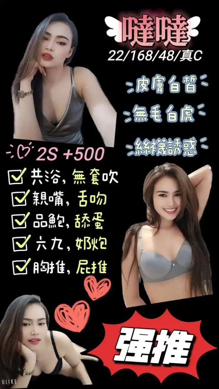 南投定點茶-噠噠
