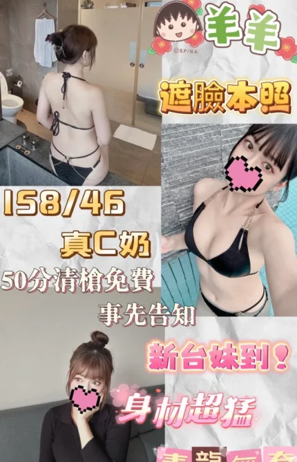 新北定點茶-羊羊