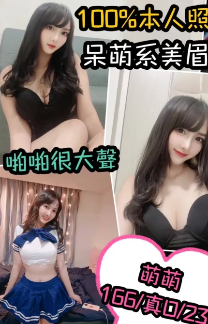 新北定點茶-萌萌