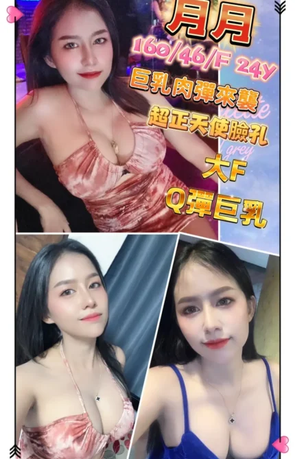 新北定點茶月月