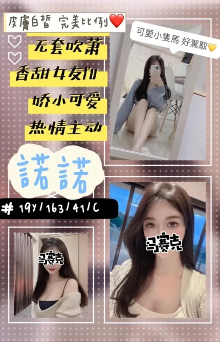 桃園定點茶-諾諾