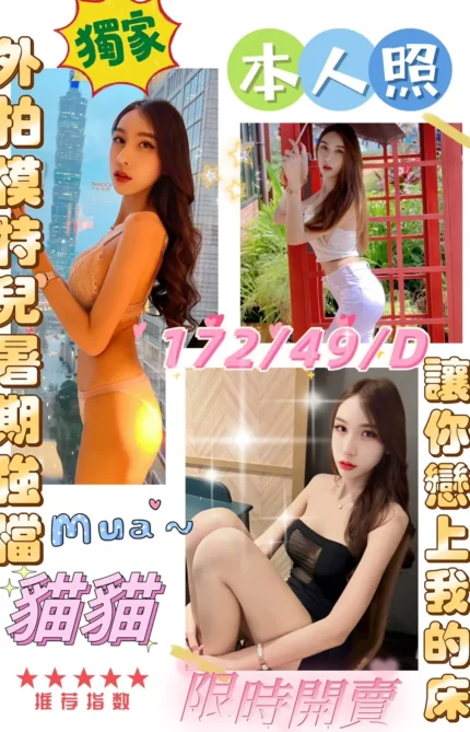 雲林定點茶-貓貓