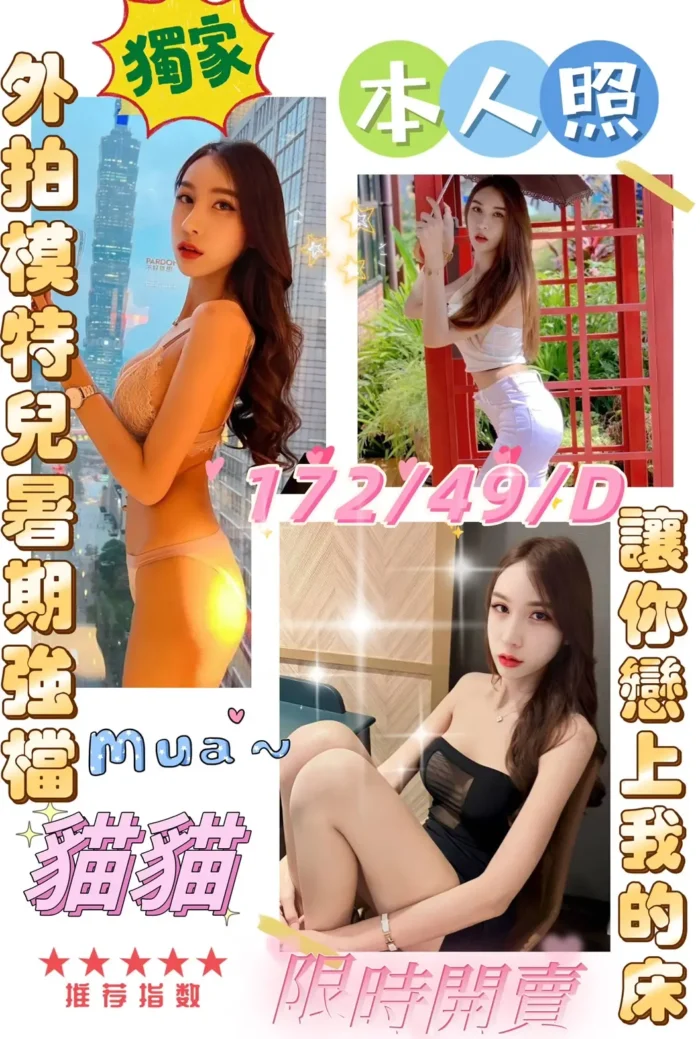 雲林定點茶-貓貓